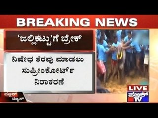 Ban On Jallikattu To Continue- Says Supreme Court