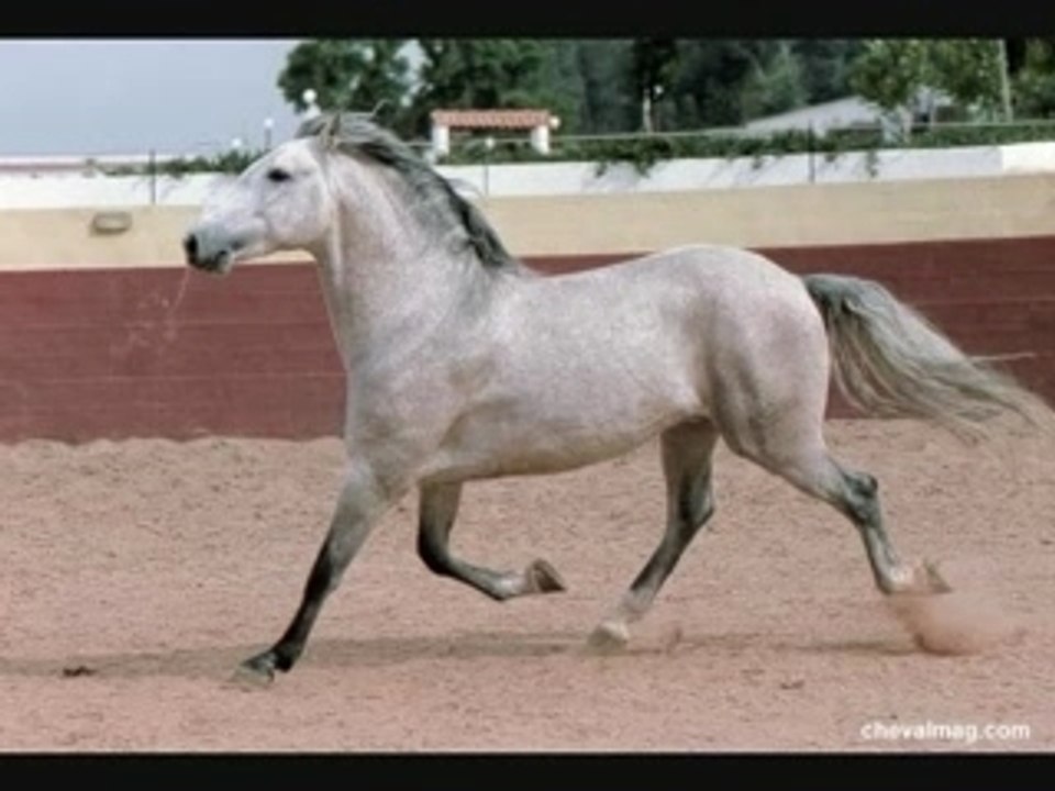 Les animaux beau et... Rigolos !!!!!!!!