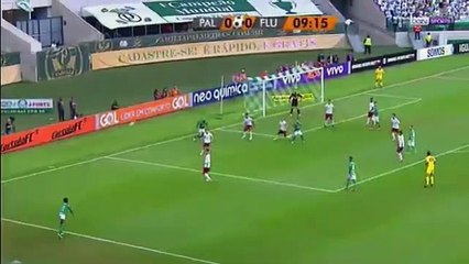 Palmeiras - Fluminense 1-0
