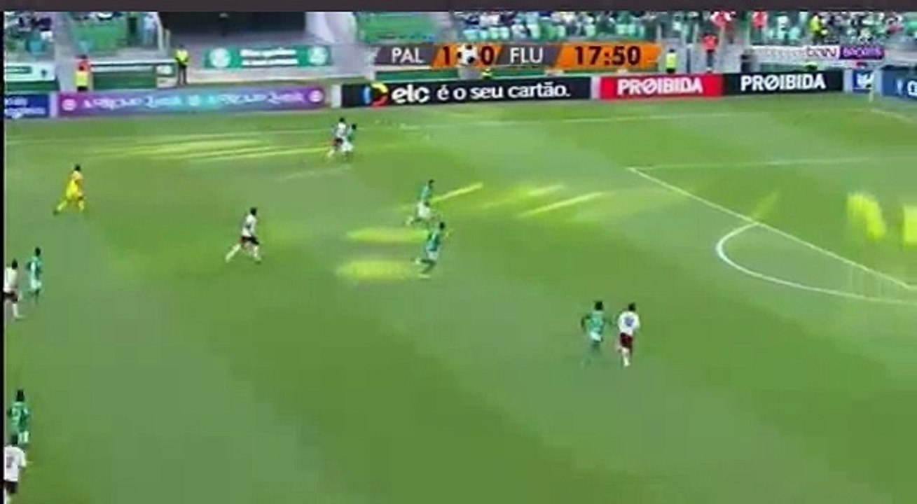 Palmeiras - Fluminense 1-1