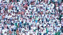 Palmeiras 3 x 1 Fluminense pela 6ª rodada 1º turno Brasileirão 2017 Gols