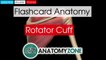 Rotator Cuff _ Flashcar234234werwery-2017