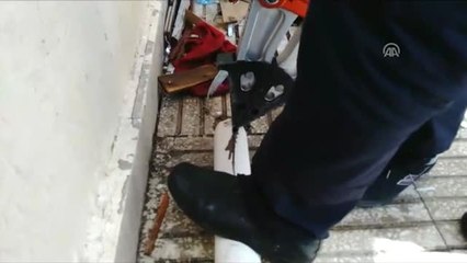 Elektrik Direğine Sıkışan Kediyi Itfaiye Kurtardı