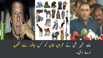 Abid Sher ali, which Animal Imran khan has similarity?