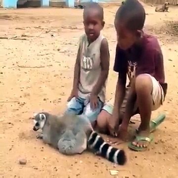 Komik Hayvanlar - Bura buraa xD