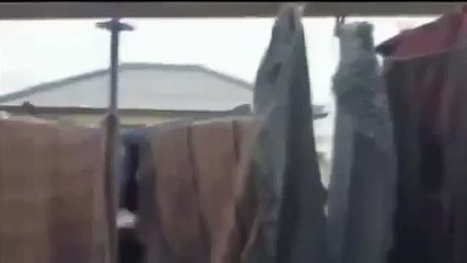 Şişman kedi :)
