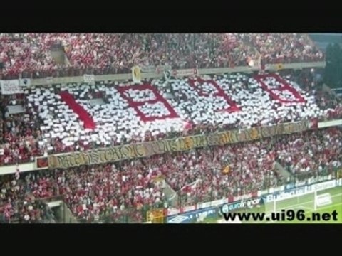tifo standard de liege