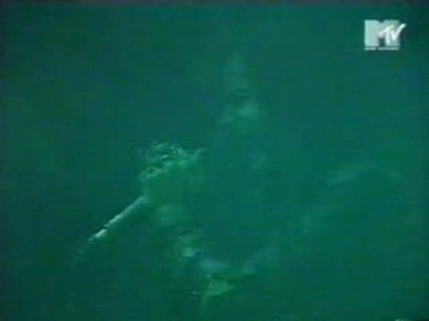 Cruelty Brought Thee Orchids-Live