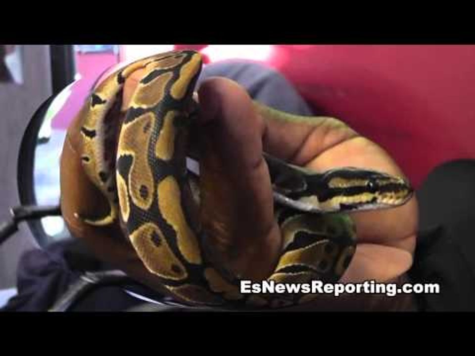 ESNEWS Classic: Kelly Pavlik Pranks BKB champ Pelos Puts A Snake In His Gym Bag