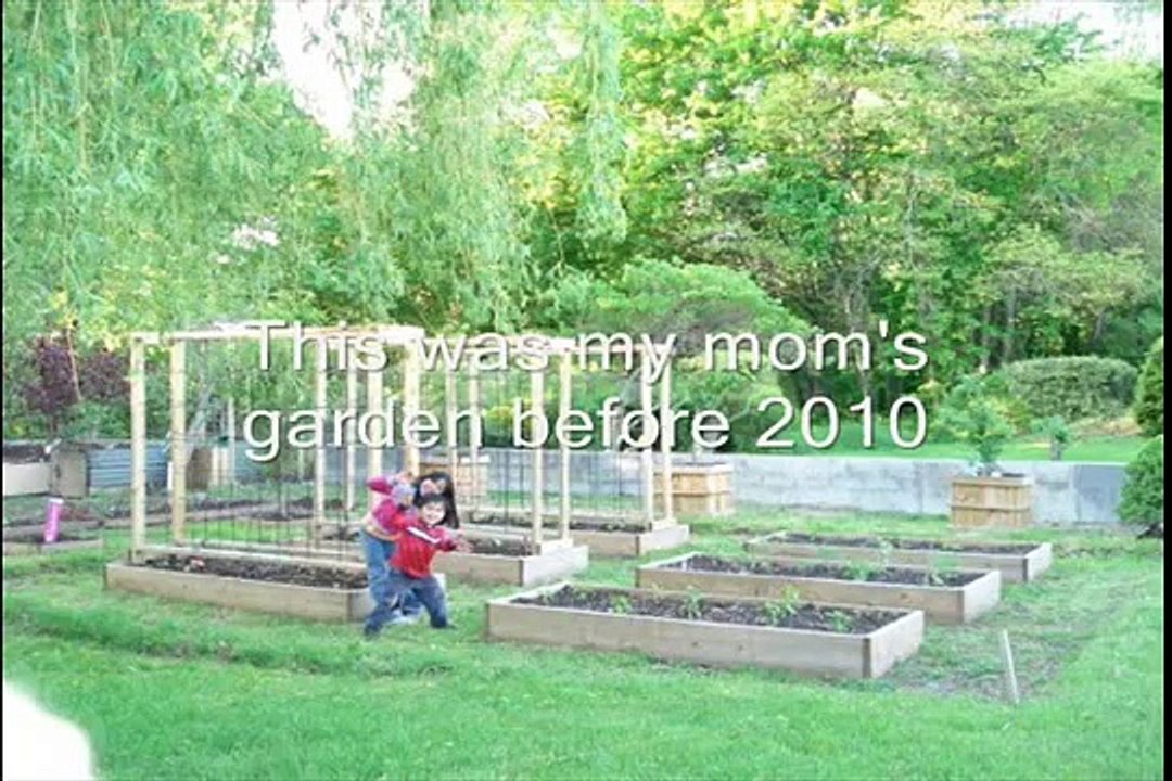 Aiman's Mom Backyard Garden Grow Your Own Organic Vegetables & Ideas - Connecticut USA