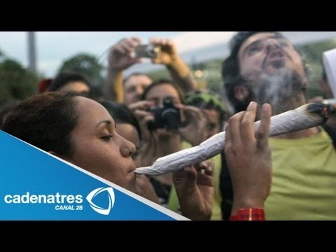 ¿Legalización de la marihuana, mala decisión? / Análisis con Ivonne Melgar