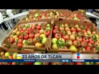 ¿Qué es el TLCAN y cómo afecta a México?