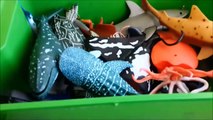 Shark Toys Kids Toy Box Sea Animals Toy Whales sea turtles caretta caretta turtles