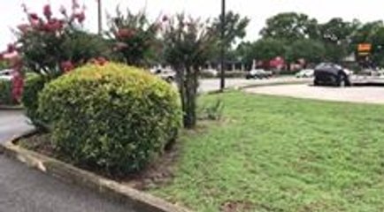 Ocala Sinkhole Swallows Car