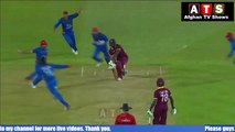 Rashid Khan 7 Wickets Against West Indies
