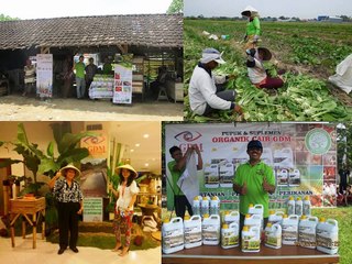 CALL 0812 - 2400 - 2400 (TSEL), Obat Penggemuk Ayam