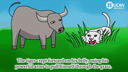English Stories - 12. How the Tiger got his stripes