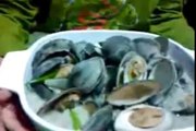 Cooking LittleNeck Clams (Masak Lemak Chilli Api)