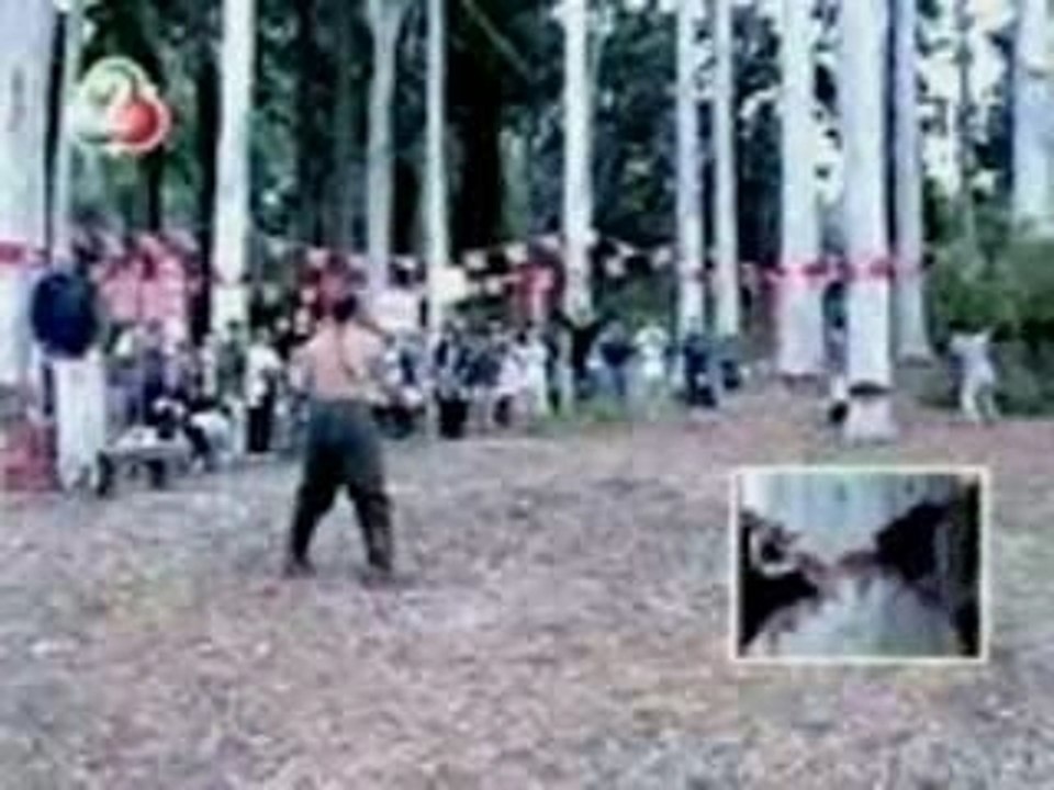 Videos comicos