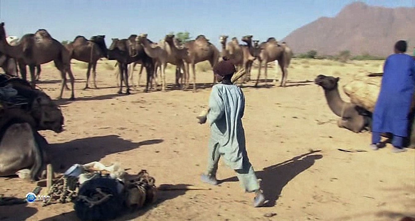 Переход через пустыню Сахара / Crossing the Great Sahara: The 800 Mile Journey of a Camel Caravan [2001, HDTVRip]