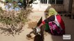 194.Afghan Cycles- Empowering Girls to Ride - Dispatches