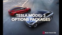 Tesla Model 3 Options   Model 3 Owners