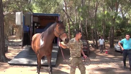 Kemer Sahilleri "Atlı Jandarmalara" Emanet