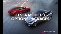 Tesla Model 3 Options   Model 3 Owner