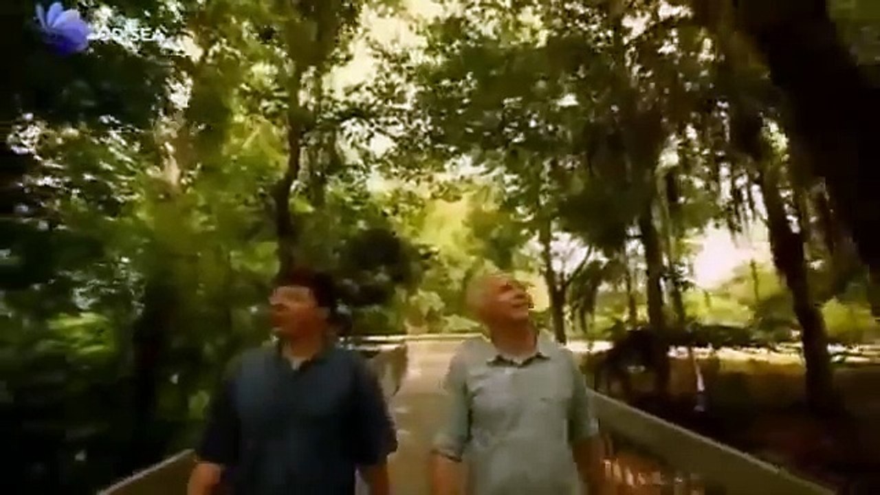 Codigos Secretos - 1-3 - Numeros - Documental Completo