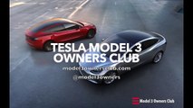 Tesla Model 3 Options   Model 3 Owners C