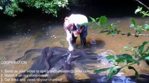 Top 10 Amazing Viral Videos 2017 Fish Farm China Russia Cambodia Net Traditional Fishing Si