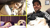 Bollywood Celebs And Their Pet Interests