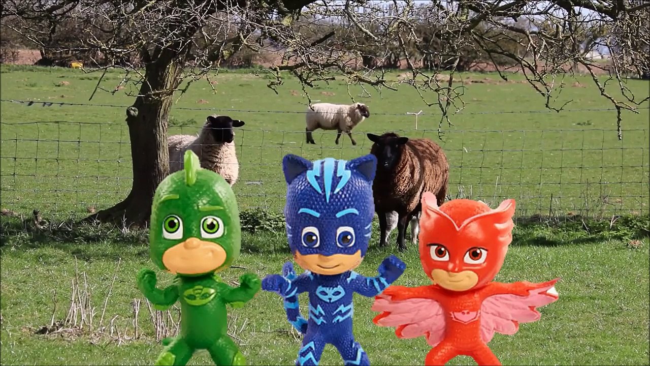PJ MASKs heroes en pijamas conoce a los corderos y ovejas para niños  - Lamb and Sheep for children