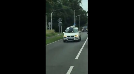 Une voiture roule avec un homme accroché au pare-brise.