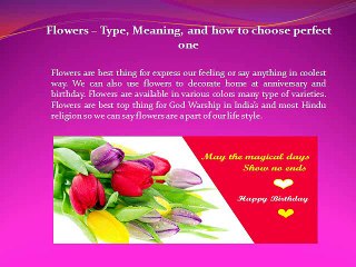 Flowers – Type, Meaning, and how to choose perfect one