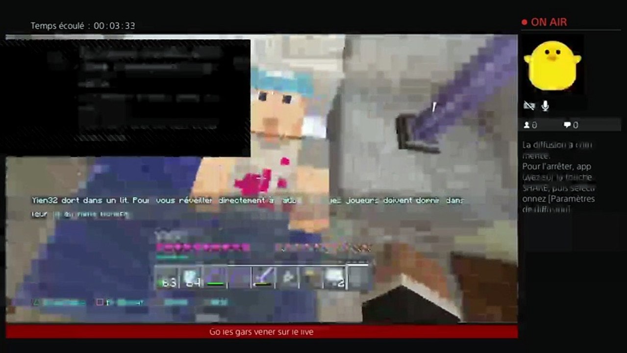 RP sur Minecraft (38)