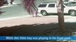 Amazing Cat Rescues Boy Video 2016 - Daily Heart Beat