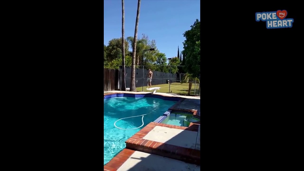 Amazing Dog Practices Saving a Man From Drowning In A Pool - Daily Heart Beat