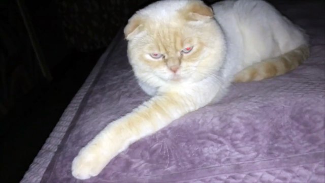 Paranormal Activity 6 The Final Chapter Official Teaser Trailer _2 (2017) Horror Movie HD (1080p).mp4