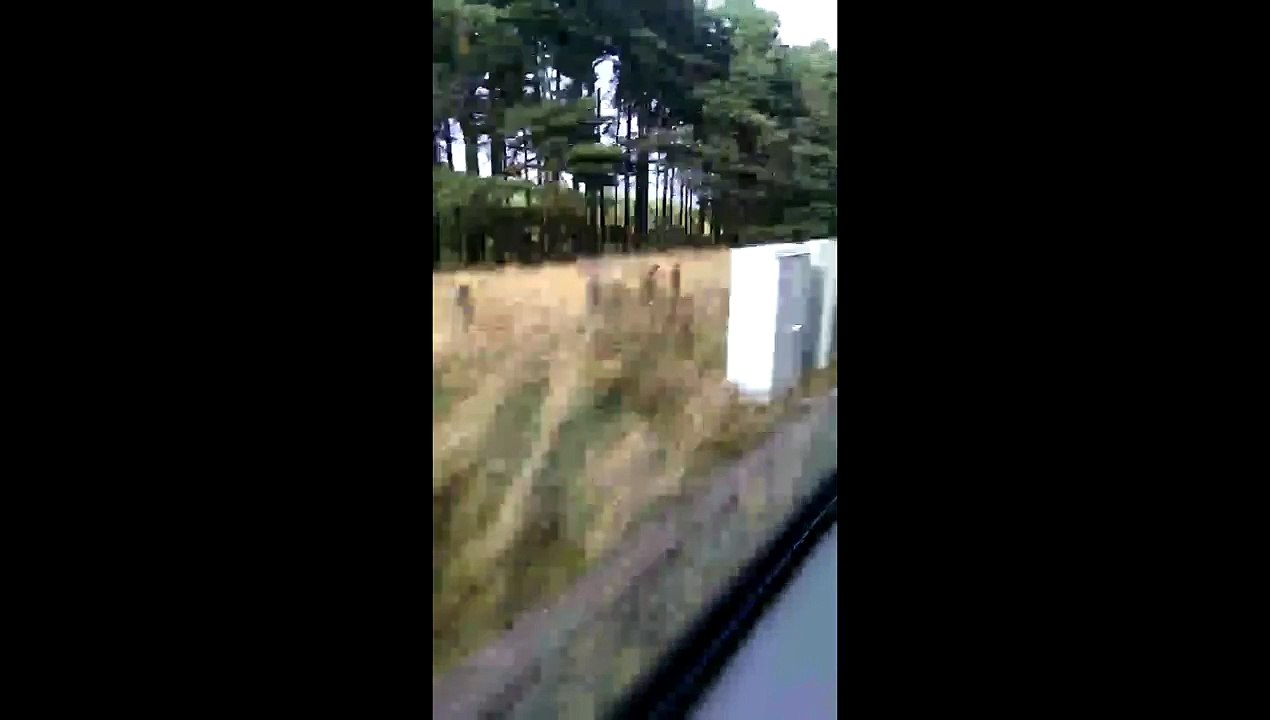 scotland was cosy
