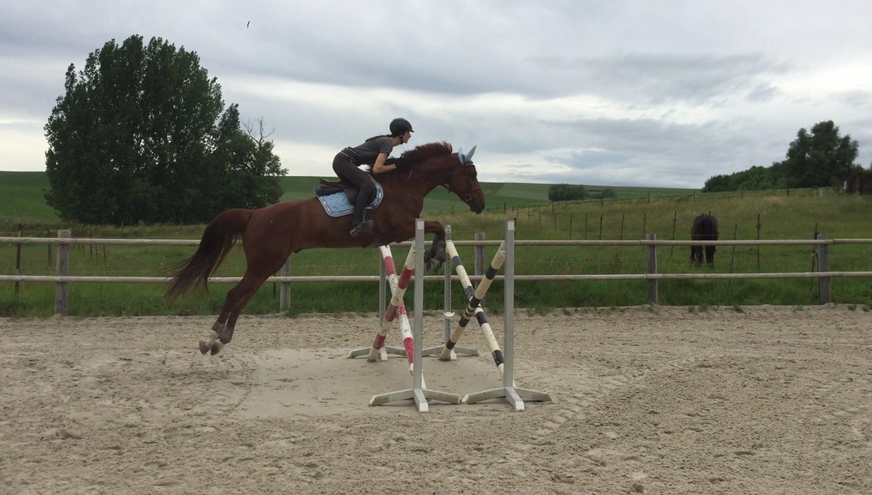 Sexy Boy de Belgy - Obstacle - 09.06.2017