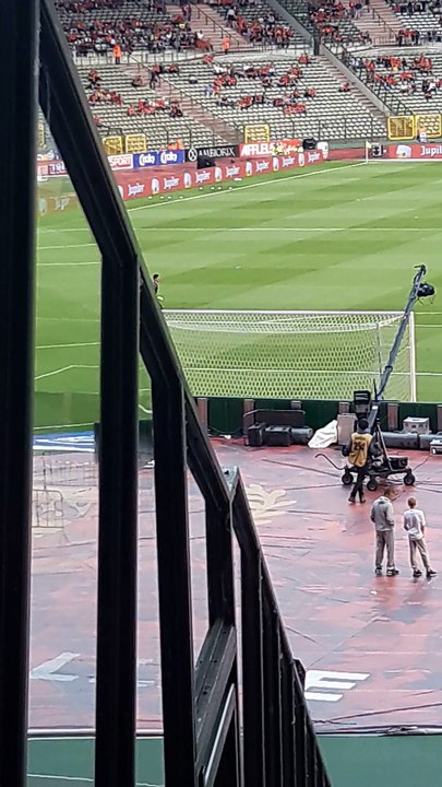 Match  Belgique -  République - Tchèque 05/06/2017