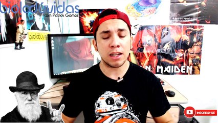 SISTEMA NERVOSO HUMANO