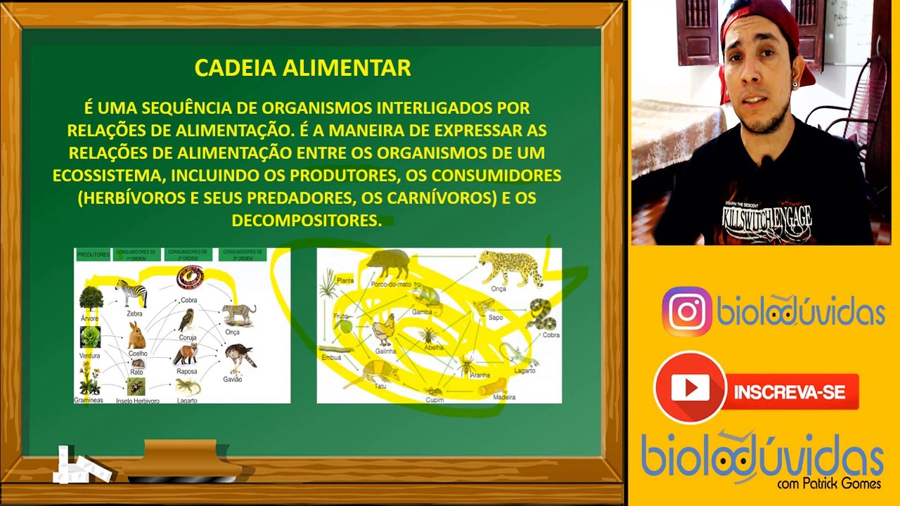 CADEIA ALIMENTAR