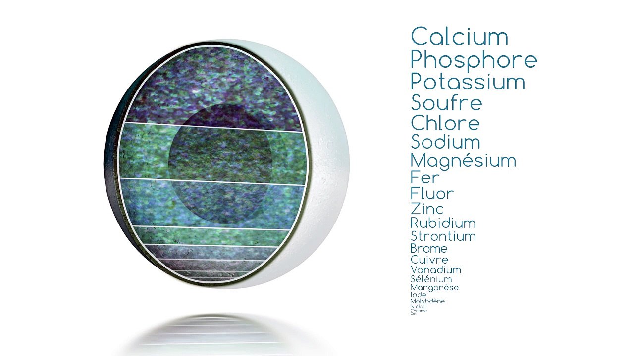 Développement perso