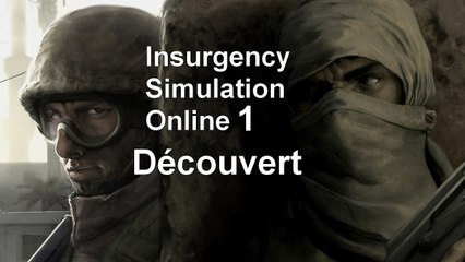 Insurgency Simulation Online