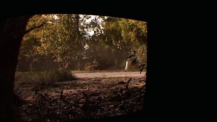 バイオハザードvr