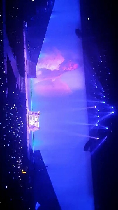 [ Dangerous Woman Tour Paris ] Ariana Grande - Knew Better
