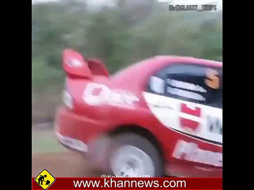 Luckiest Dog on Earth