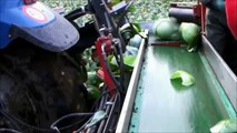 Mundo Asombroso de la Agricultura Moderna el Equipo de Mega Máquinas: Tractor, Cosechadora vs Primit